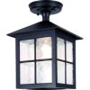 Elstead Winchester BL18A Outdoor Hanging Lantern